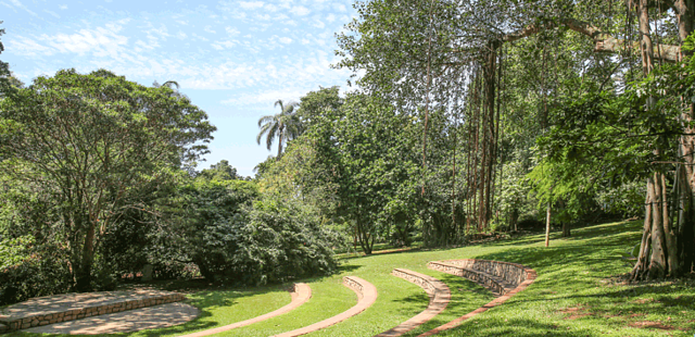 Durban Botanic Gardens
