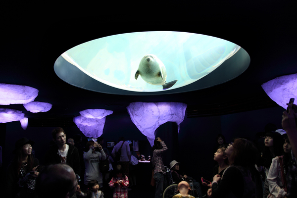 Osaka Aquarium Kaiyukan
