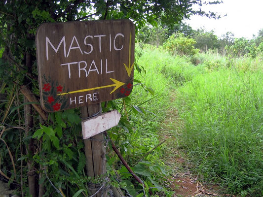 Mastic Trail