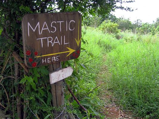 Mastic Trail