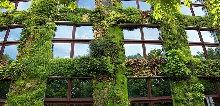 Musee du quai Branly - Jacques Chirac