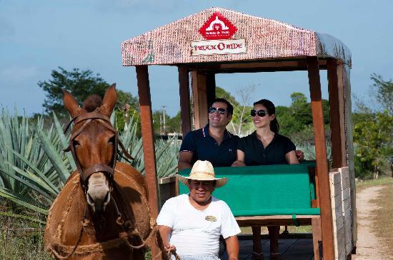 Hacienda Viva Sotuta De Peon