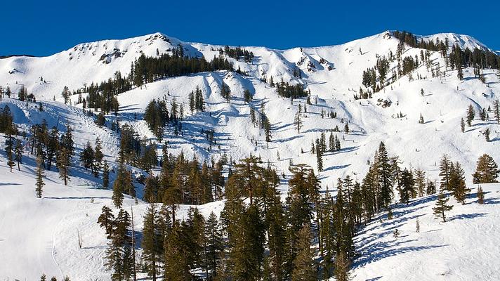 Alpine Meadows