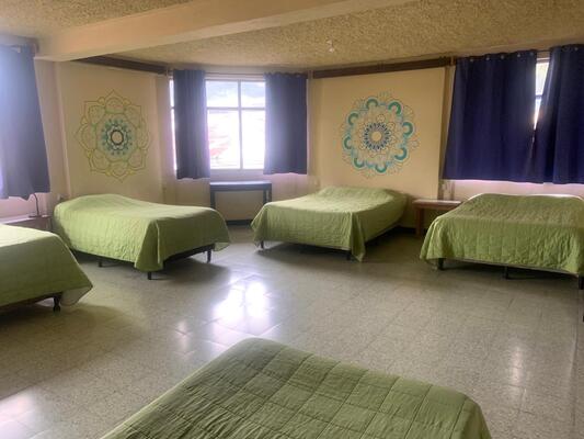 Kasa Kiwi Hostel & Travel Agency