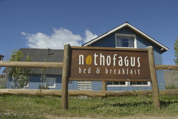Nothofagus Bed & Breakfast