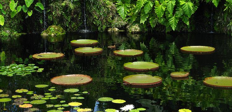 Fairchild Tropical Botanic Garden