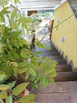 Lost Garden Guesthouse