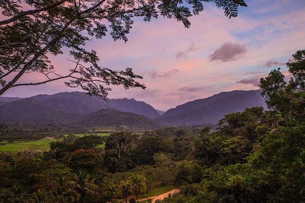 Sleeping Giant Rainforest Lodge