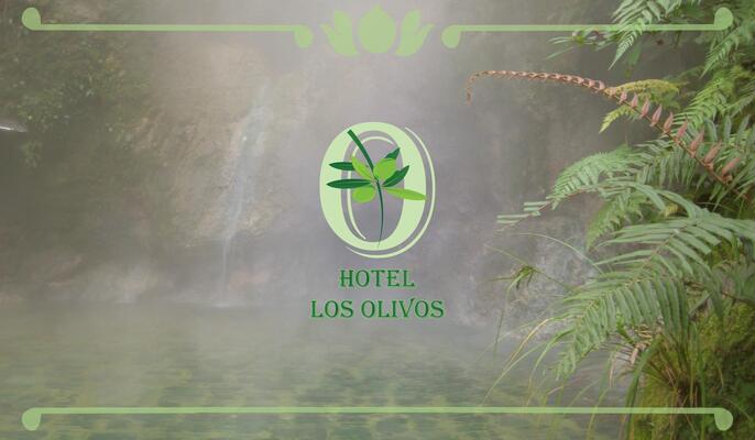Hotel Los Olivos