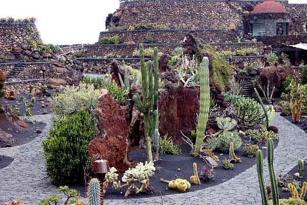 Jardin de Cactus