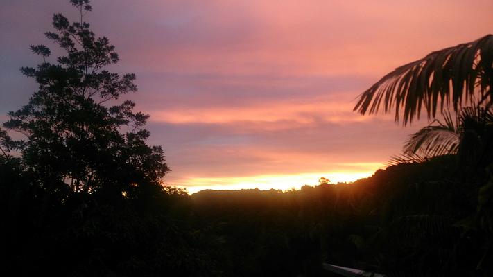 Akoonah Cottages - Byron Bay Hinterland