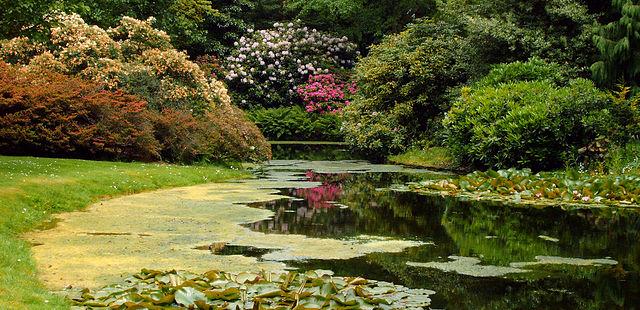 Trompenburg Gardens & Arboretum