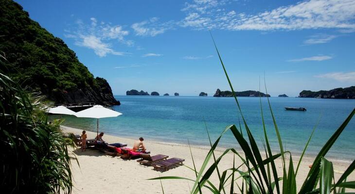 Monkey Island Resort