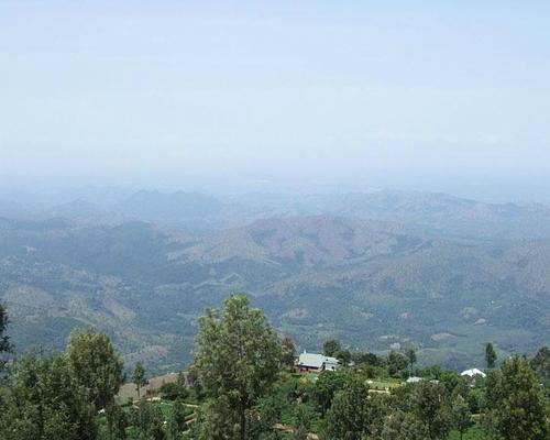 Kelburne Mountain View Cottages