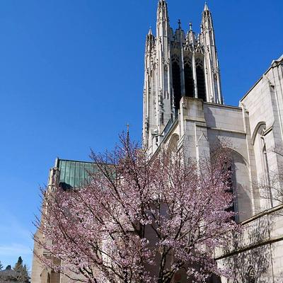 St. John's Cathedral