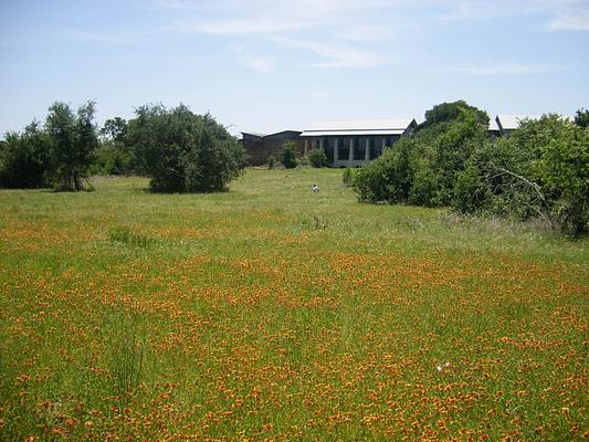 Lady Bird Johnson Wildflower Center