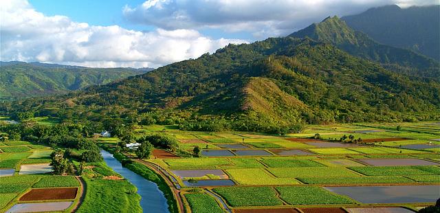 Hanalei Valley Lookout