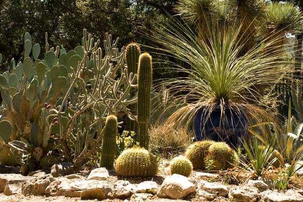Zilker Botanical Garden