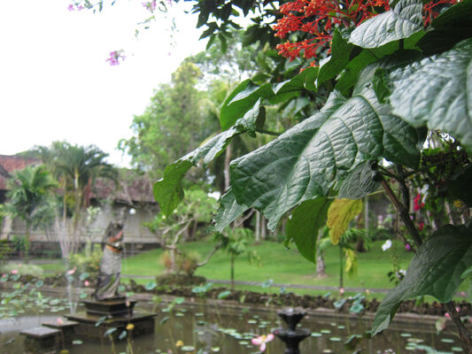 Museum Puri Lukisan