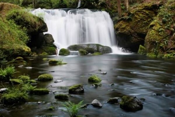 Whatcom Falls Park