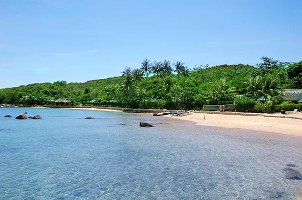 Whale Island Resort