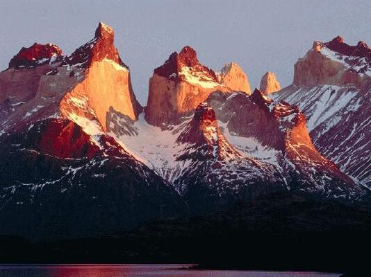 Los Cormoranes