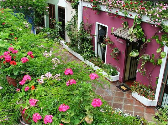 Hotel Ayenda El Patio Miraflores