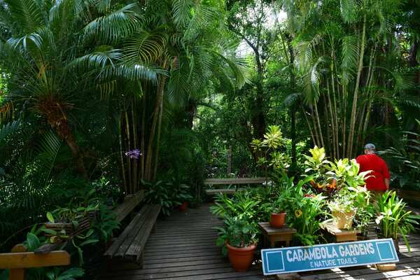 Carambola Botanical Gardens