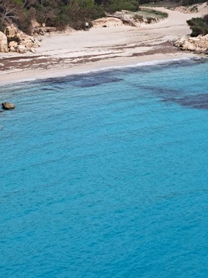 Cala Mitjana