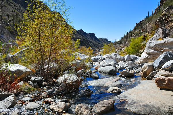 Sabino Canyon