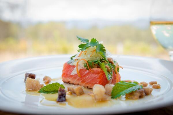 Spicers Vineyards Estate