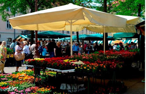 Central Market