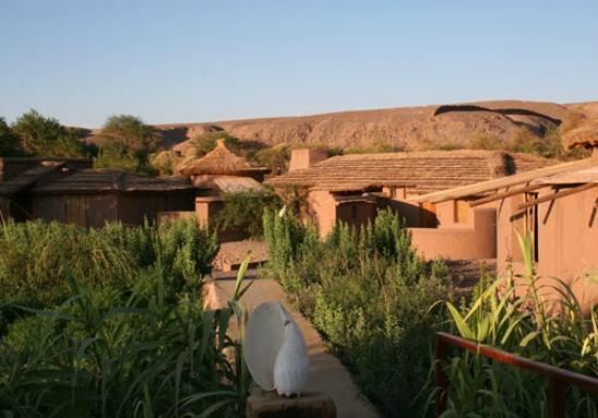 Our Habitas Atacama
