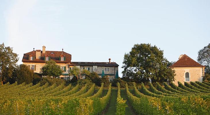 Domaine De Chateauvieux