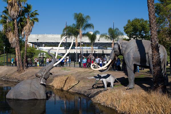 La Brea Tar Pits and Museum