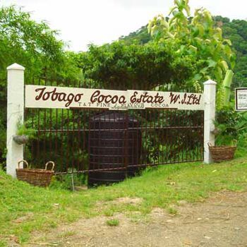 Tobago Cocoa Estate