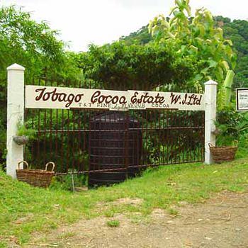 Tobago Cocoa Estate