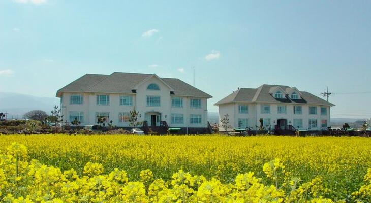 Bluebay Pension