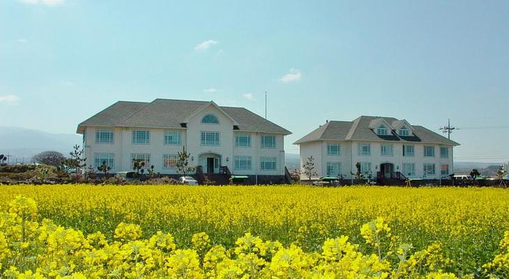 Bluebay Pension