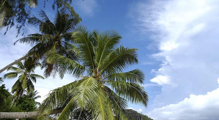 Berjaya Praslin Resort