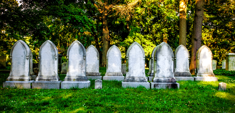 Mount Auburn Cemetery
