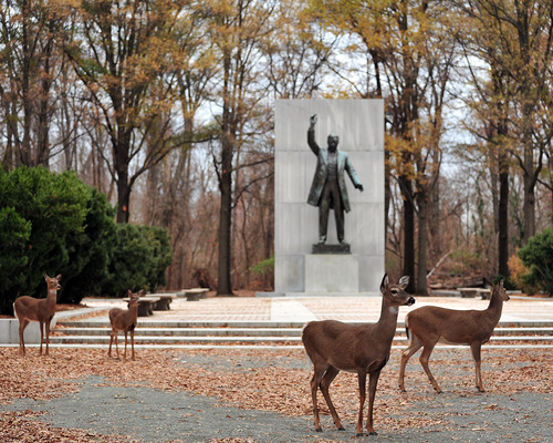 Theodore Roosevelt Island Park