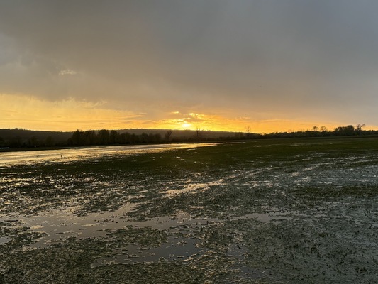 Port Meadow