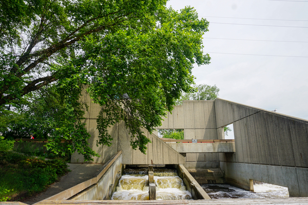 Fish Ladder