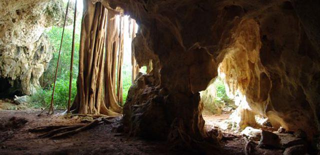 Pirates Caves ,Family Fun Historic Cave & Mini Zoo