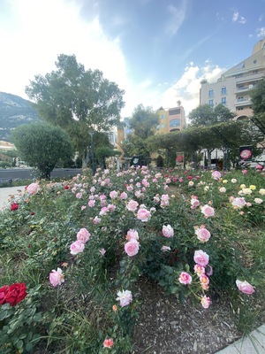 Princess Grace Botanical Garden