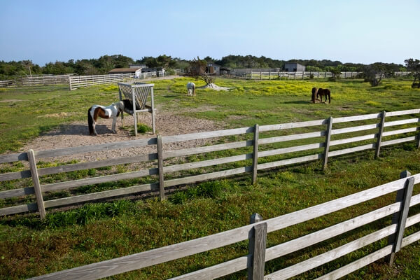 Ocracoke Pony Pens