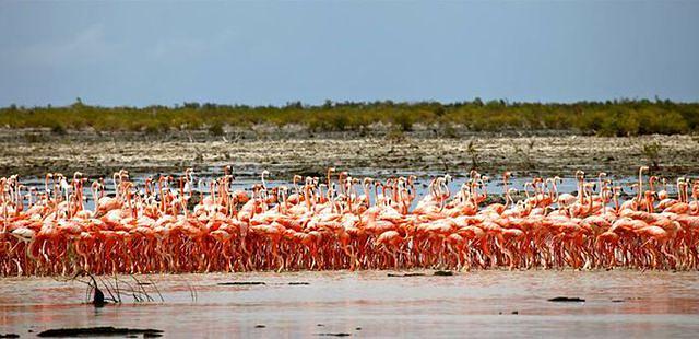 Inagua National Park