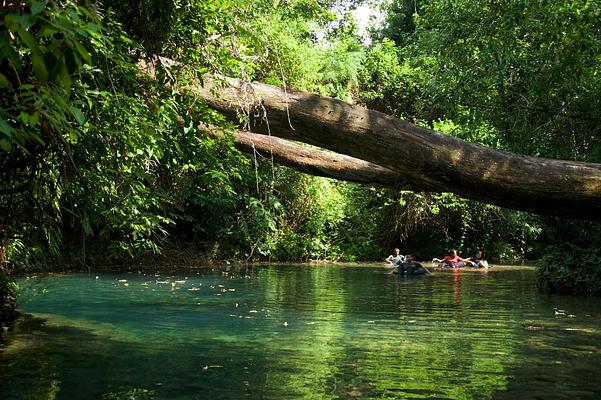 Ian Anderson's Caves Branch Jungle Lodge