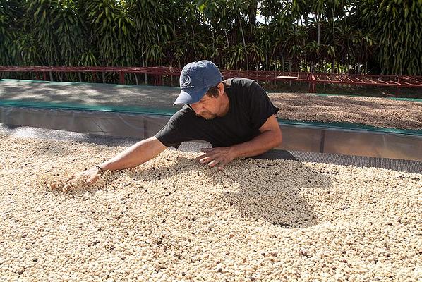 Finca Rosa Blanca Coffee Farm And Inn